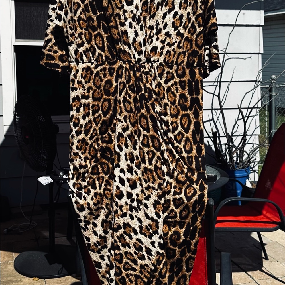 Leopard Print Midi Dress